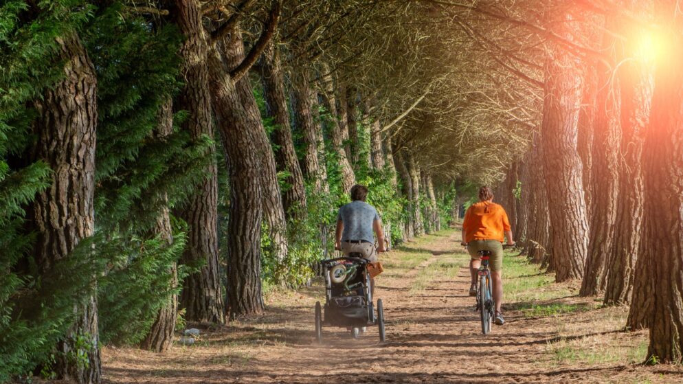 Intresset för att kombinera camping och cykling ökar markant